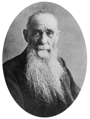 贝勒加德 狼队 身价贝勒加德