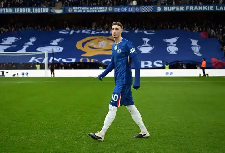 帕尔默身高帕尔默